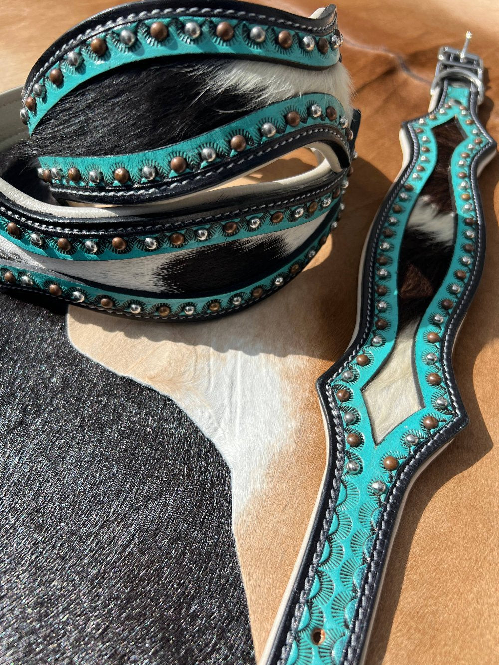 close up of dog collar