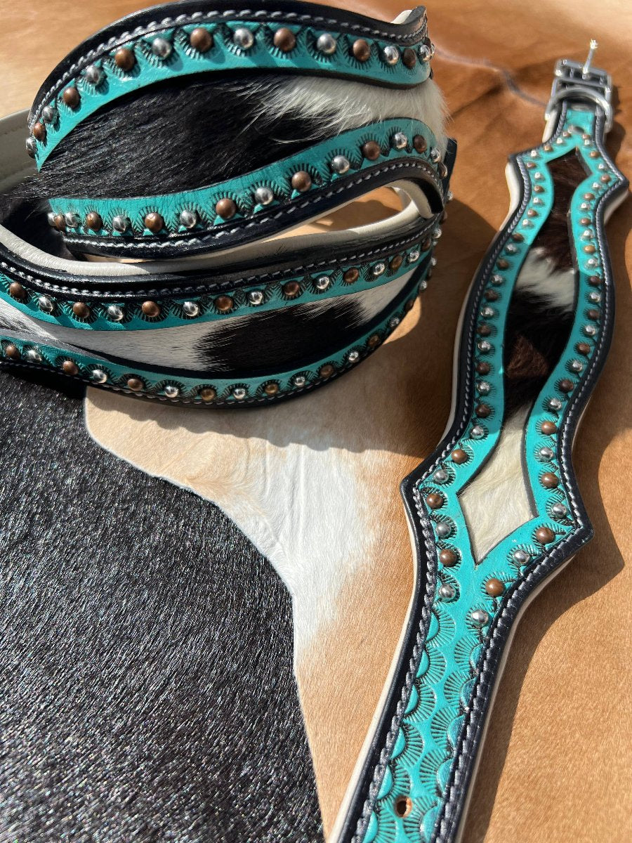 Hair On Cowhide  Turquoise Dog Collar