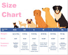 size chart for dog collars